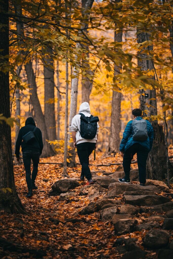 a group of people walking through a forest